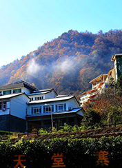 Z6��������ʱ���й������ٷ���վ