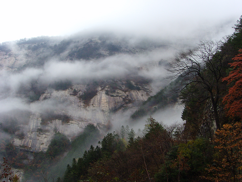 Z6��������ʱ���й������ٷ���վ