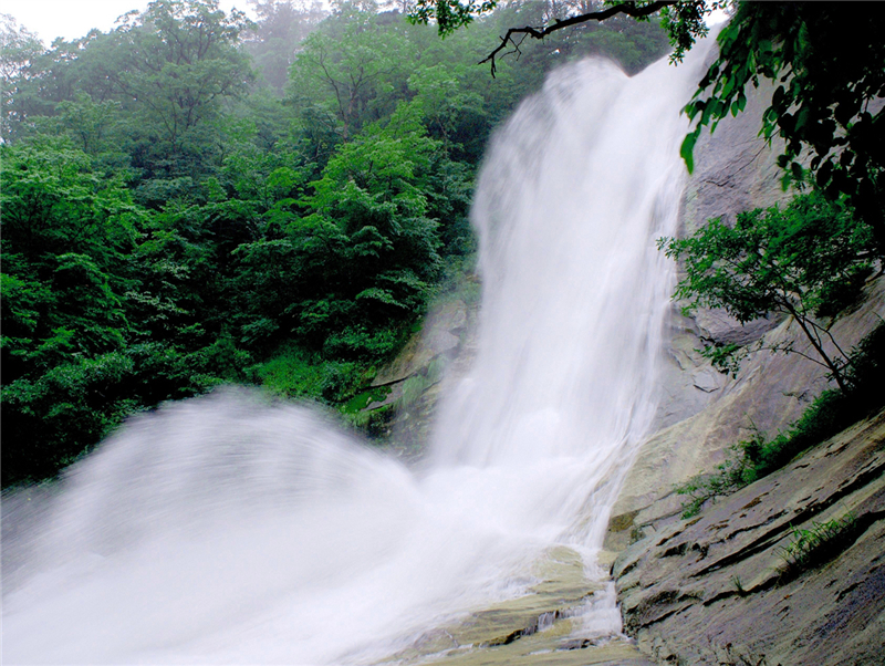 Z6��������ʱ���й������ٷ���վ