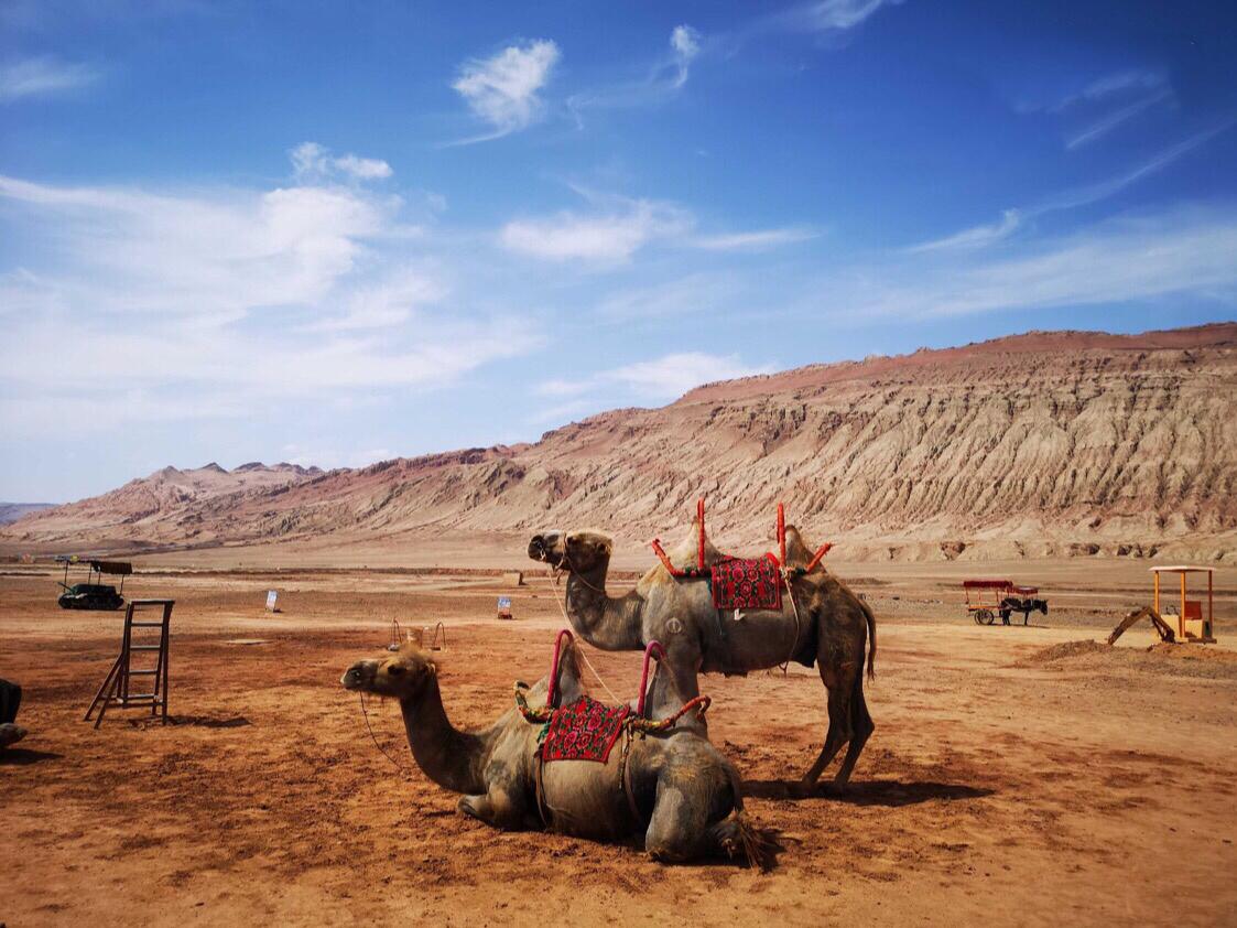 Z6��������ʱ���й������ٷ���վ