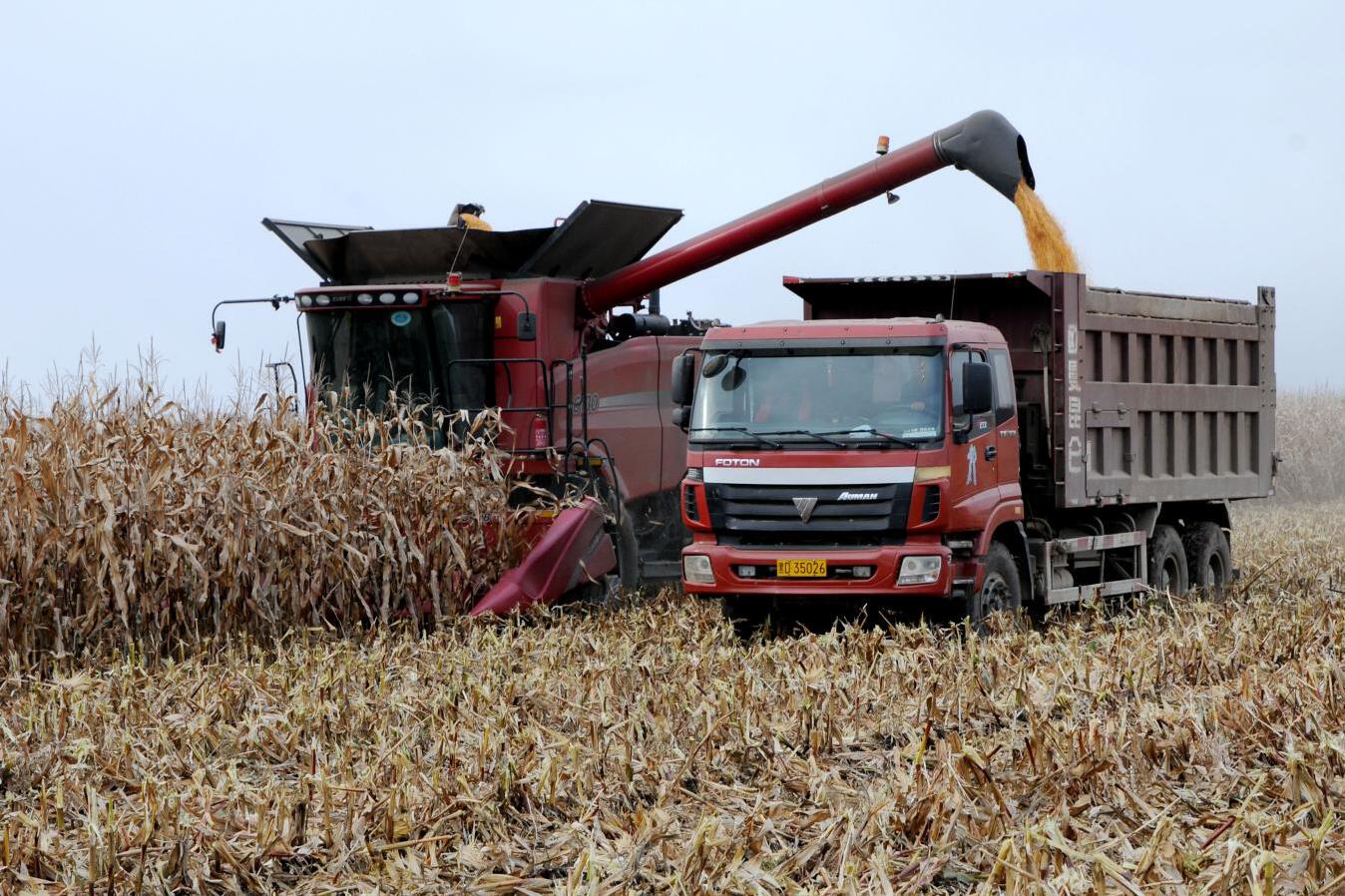 Z6��������ʱ���й������ٷ���վ