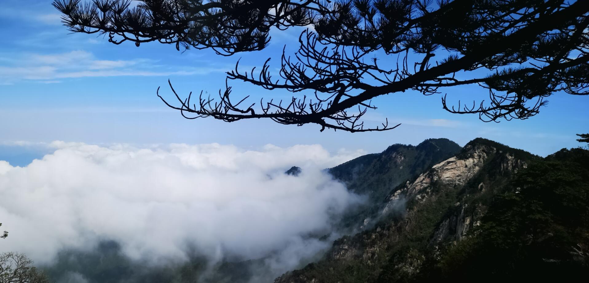 Z6��������ʱ���й������ٷ���վ