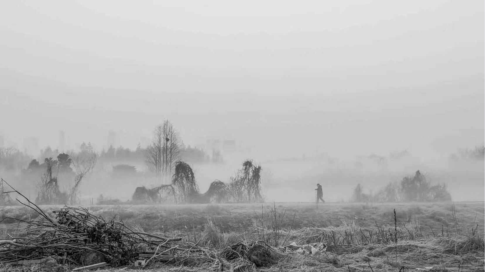 Z6��������ʱ���й������ٷ���վ