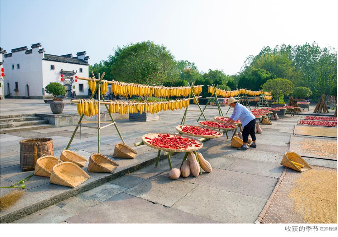 Z6��������ʱ���й������ٷ���վ