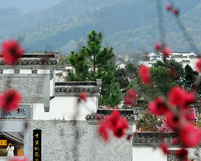 Z6��������ʱ���й������ٷ���վ