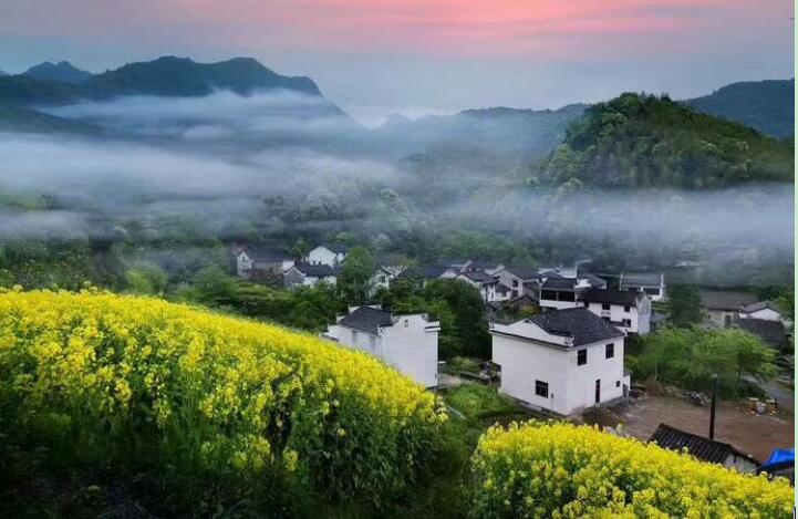 Z6��������ʱ���й������ٷ���վ