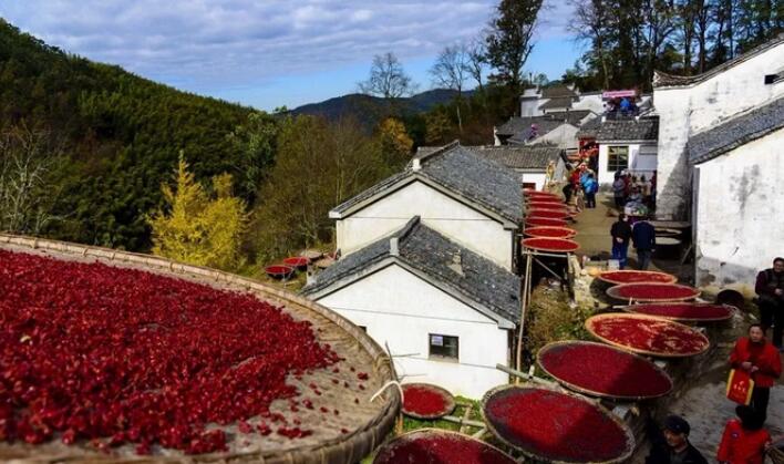 Z6��������ʱ���й������ٷ���վ