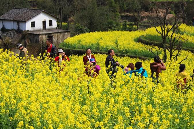 Z6��������ʱ���й������ٷ���վ