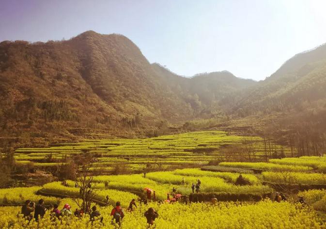 Z6��������ʱ���й������ٷ���վ