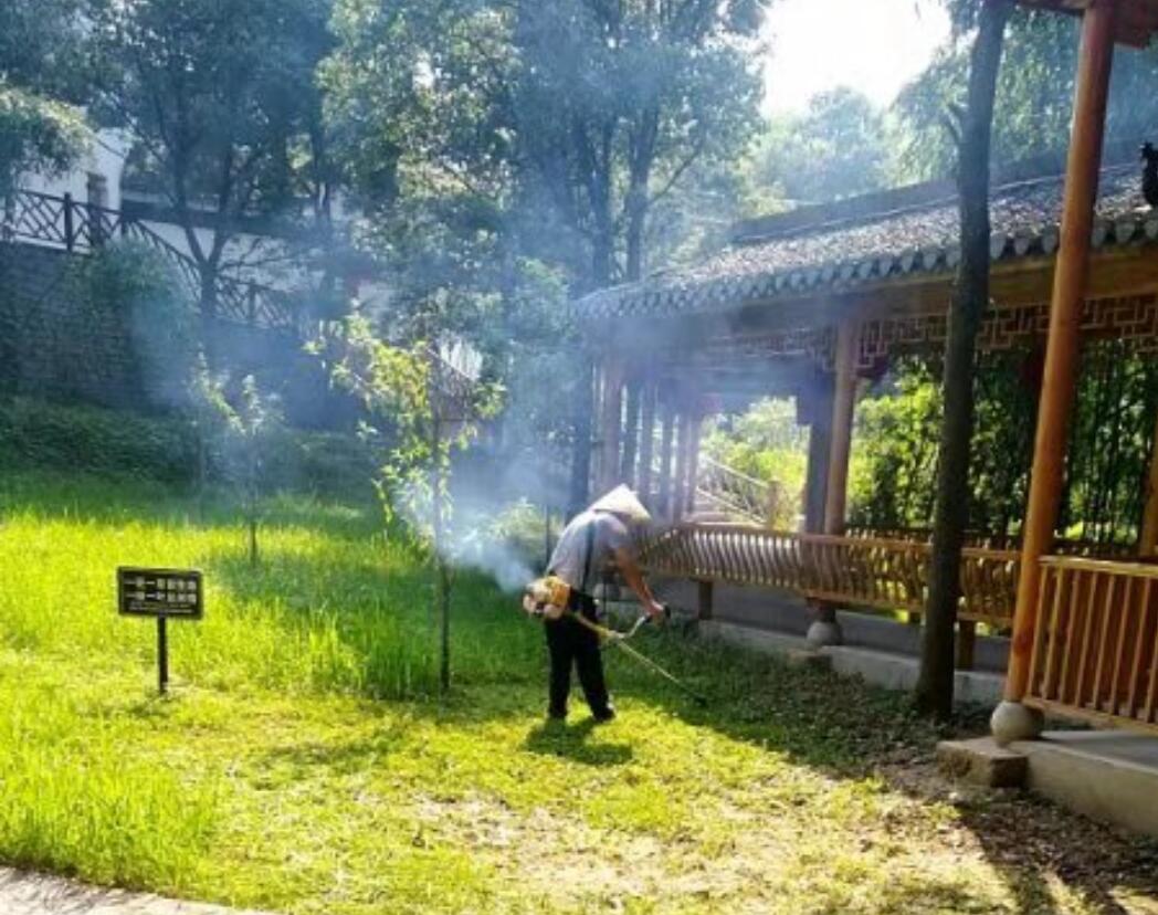 Z6��������ʱ���й������ٷ���վ