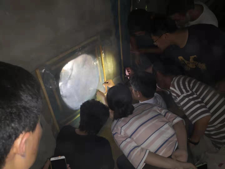 Z6��������ʱ���й������ٷ���վ