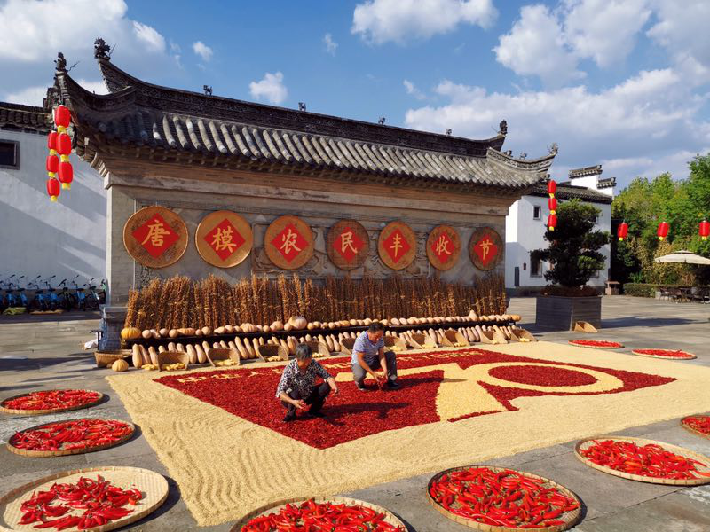 Z6��������ʱ���й������ٷ���վ