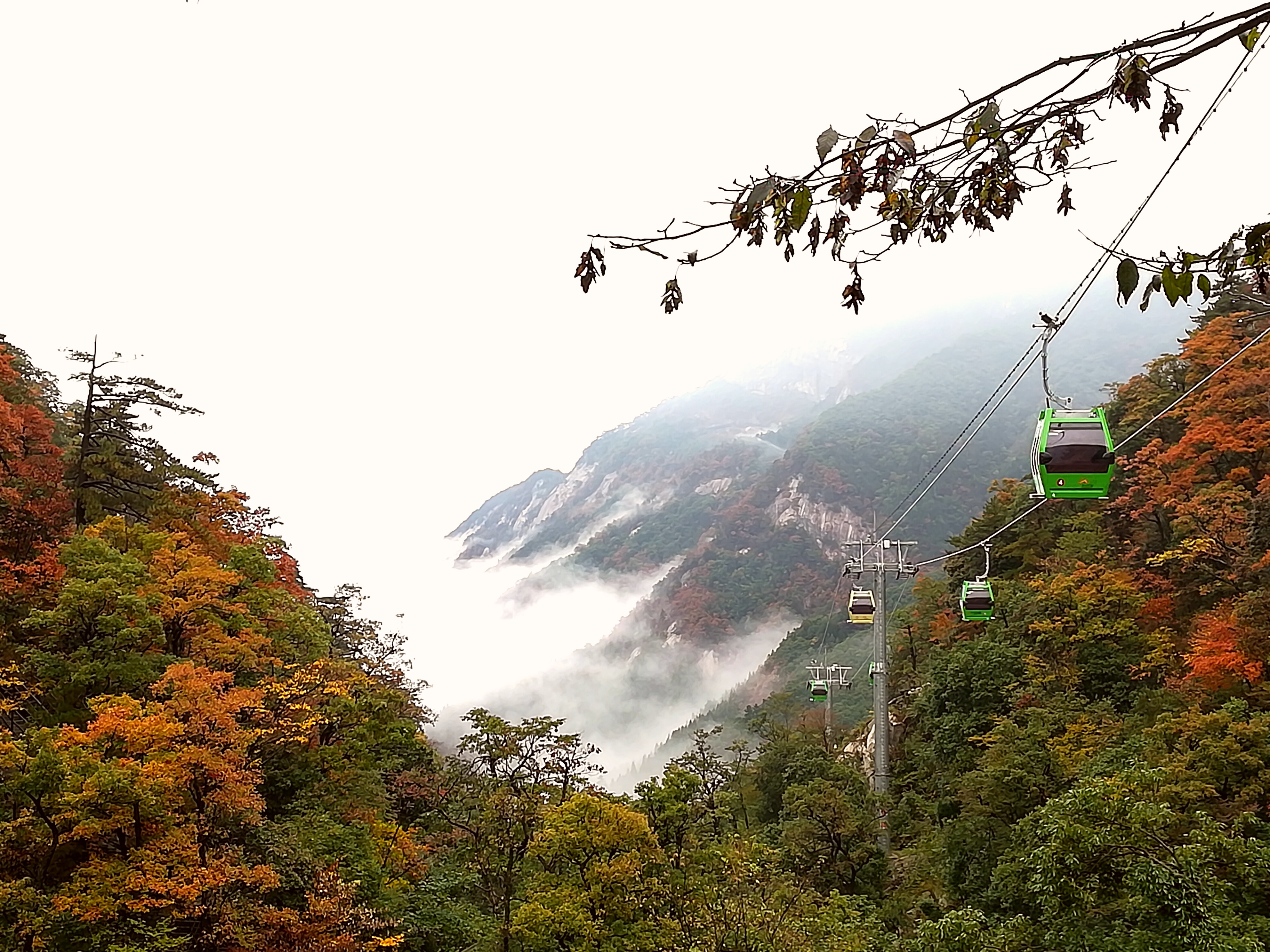 Z6��������ʱ���й������ٷ���վ