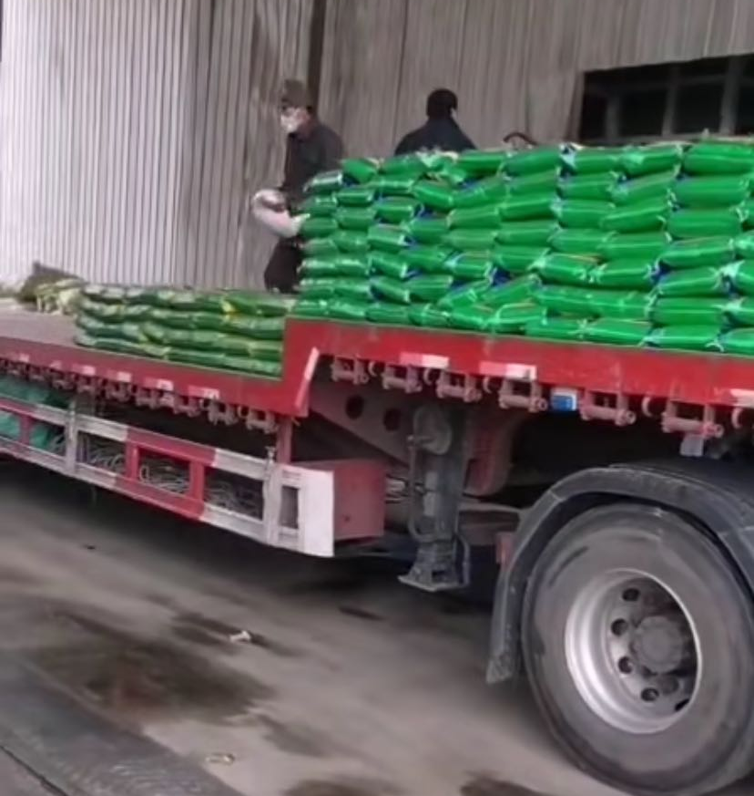 Z6��������ʱ���й������ٷ���վ