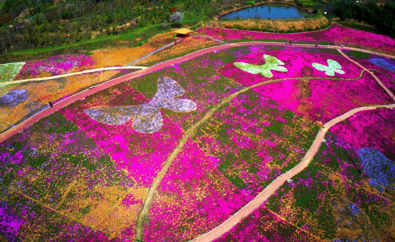 Z6��������ʱ���й������ٷ���վ