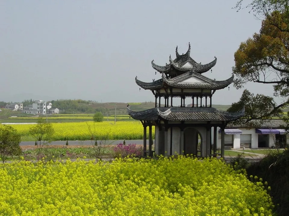 Z6��������ʱ���й������ٷ���վ