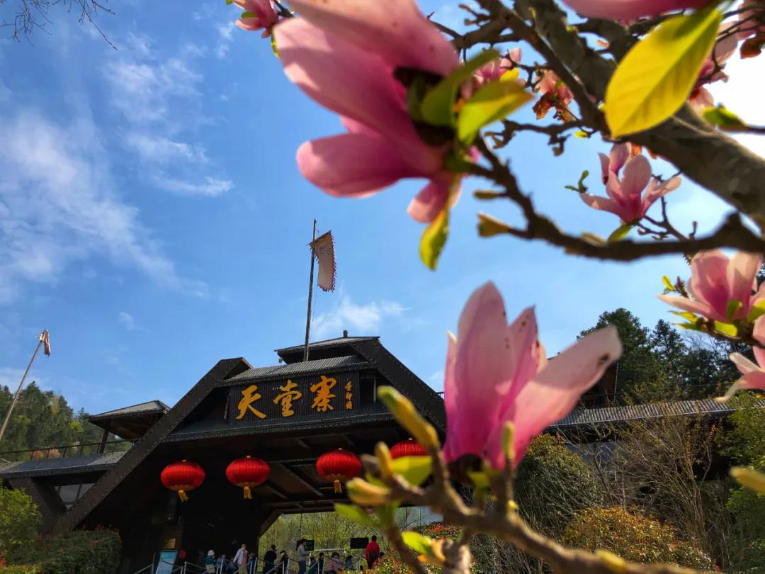 Z6��������ʱ���й������ٷ���վ