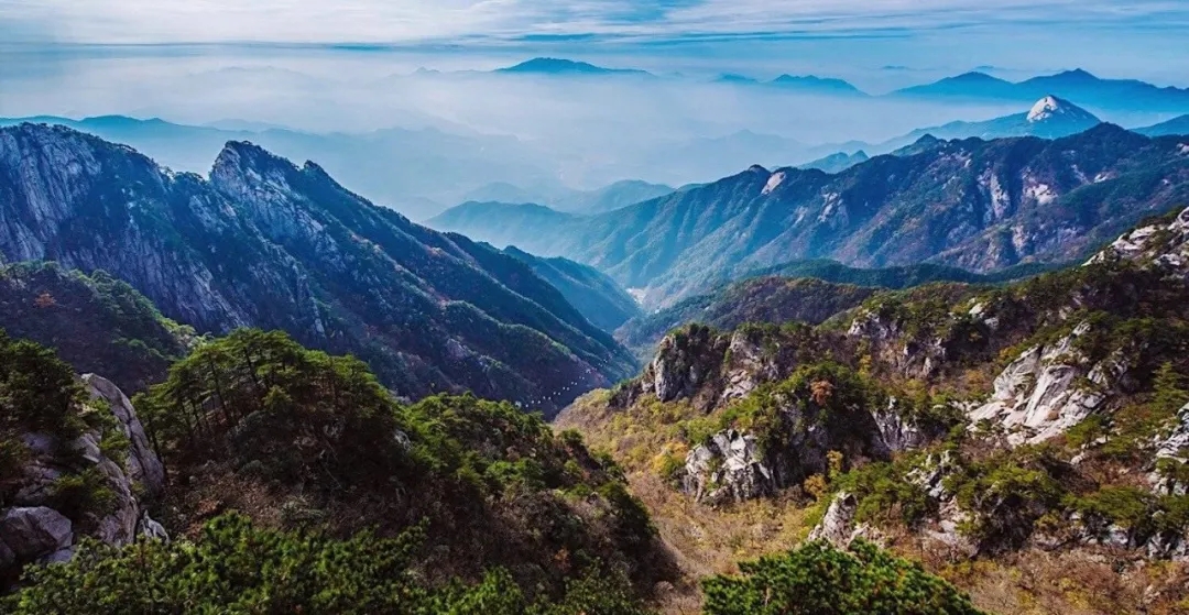 Z6��������ʱ���й������ٷ���վ