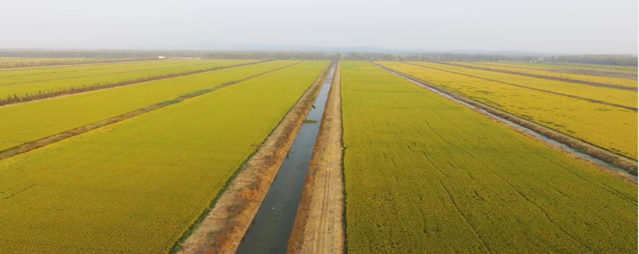 Z6��������ʱ���й������ٷ���վ