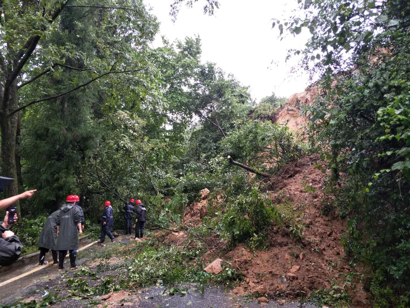 Z6��������ʱ���й������ٷ���վ