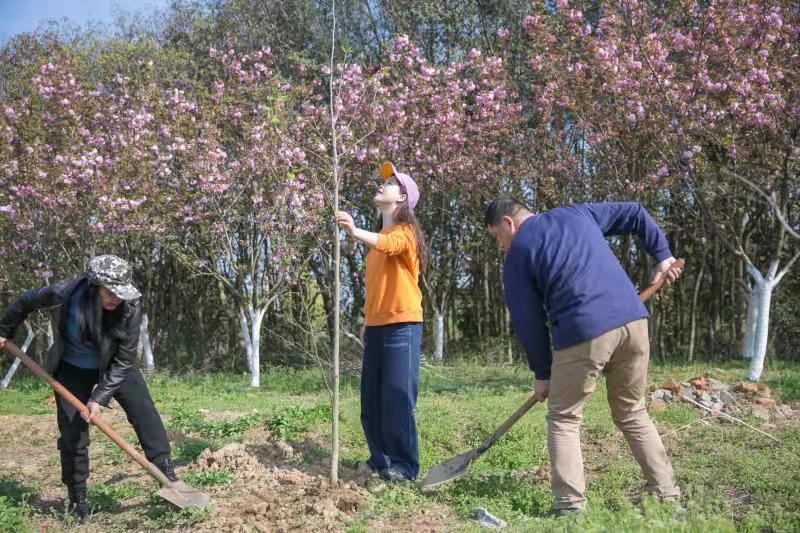 Z6·尊龙凯时「中国区」官方网站