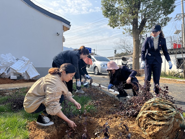 Z6��������ʱ���й������ٷ���վ