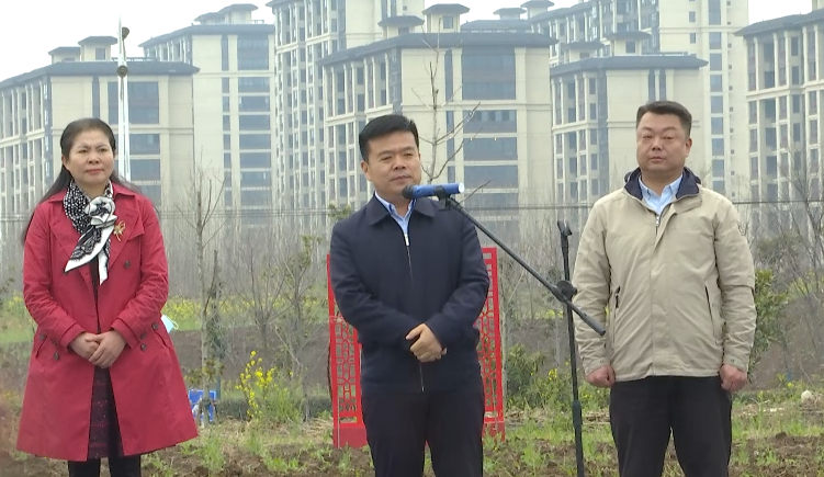 Z6��������ʱ���й������ٷ���վ