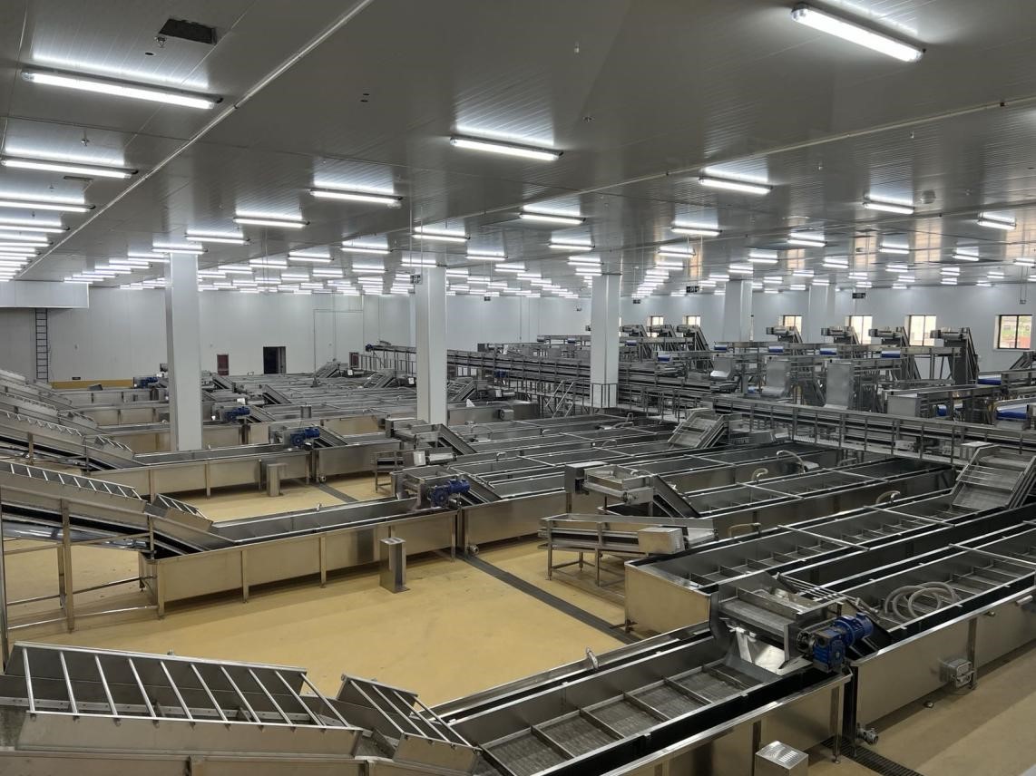 Z6��������ʱ���й������ٷ���վ