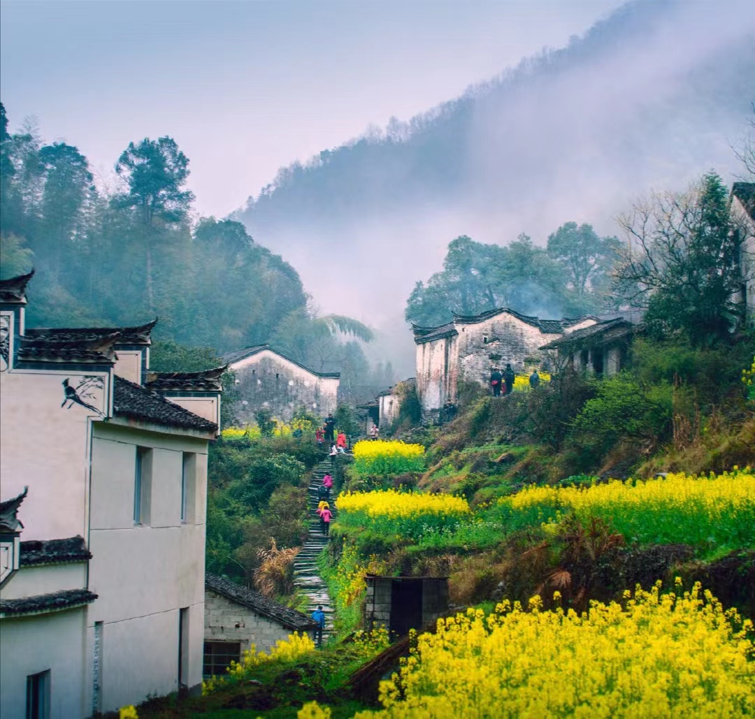 Z6��������ʱ���й������ٷ���վ