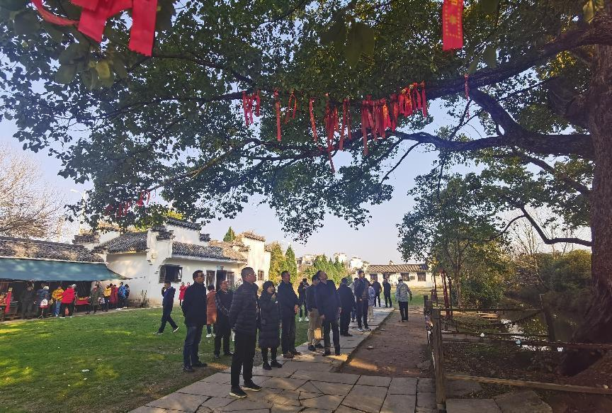 Z6��������ʱ���й������ٷ���վ