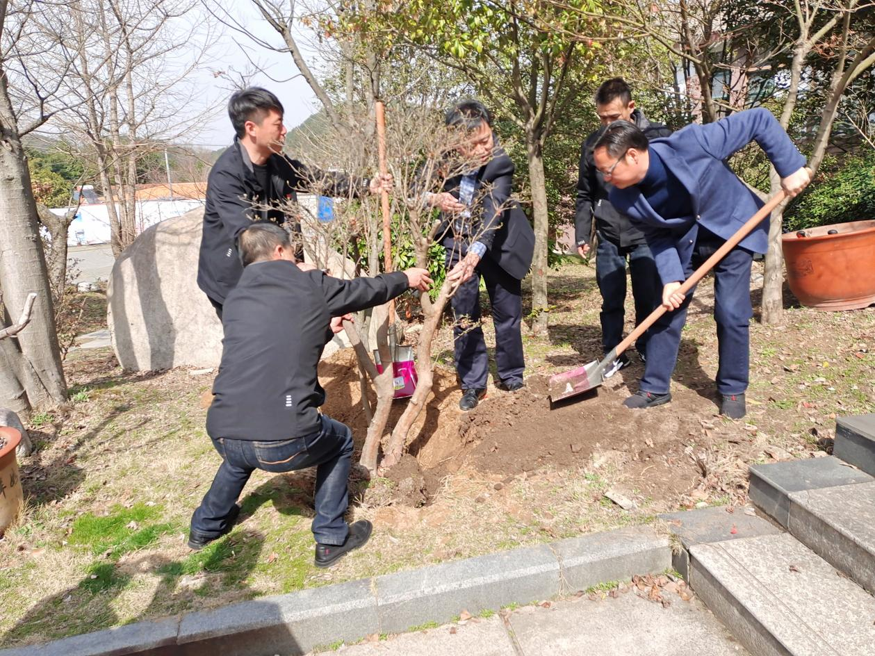 Z6��������ʱ���й������ٷ���վ