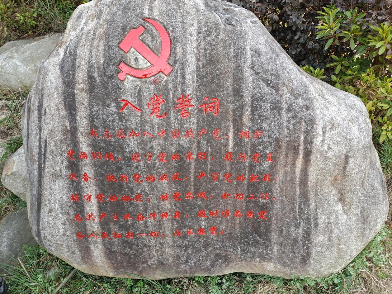 Z6��������ʱ���й������ٷ���վ