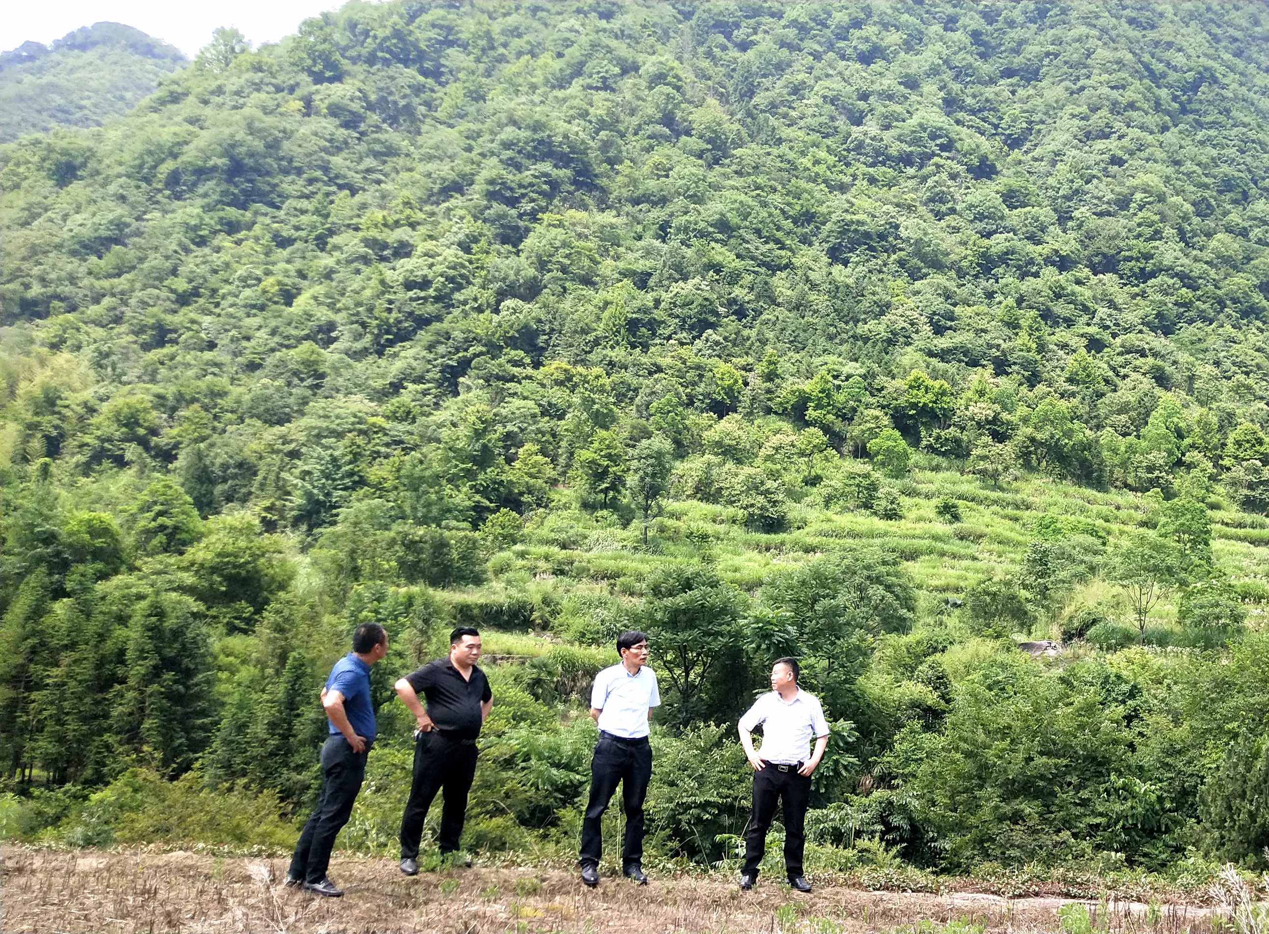 Z6��������ʱ���й������ٷ���վ