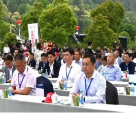 Z6��������ʱ���й������ٷ���վ