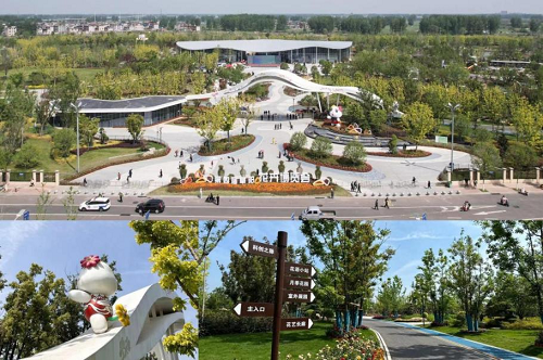 Z6��������ʱ���й������ٷ���վ