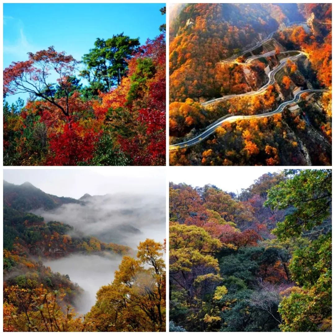 Z6��������ʱ���й������ٷ���վ