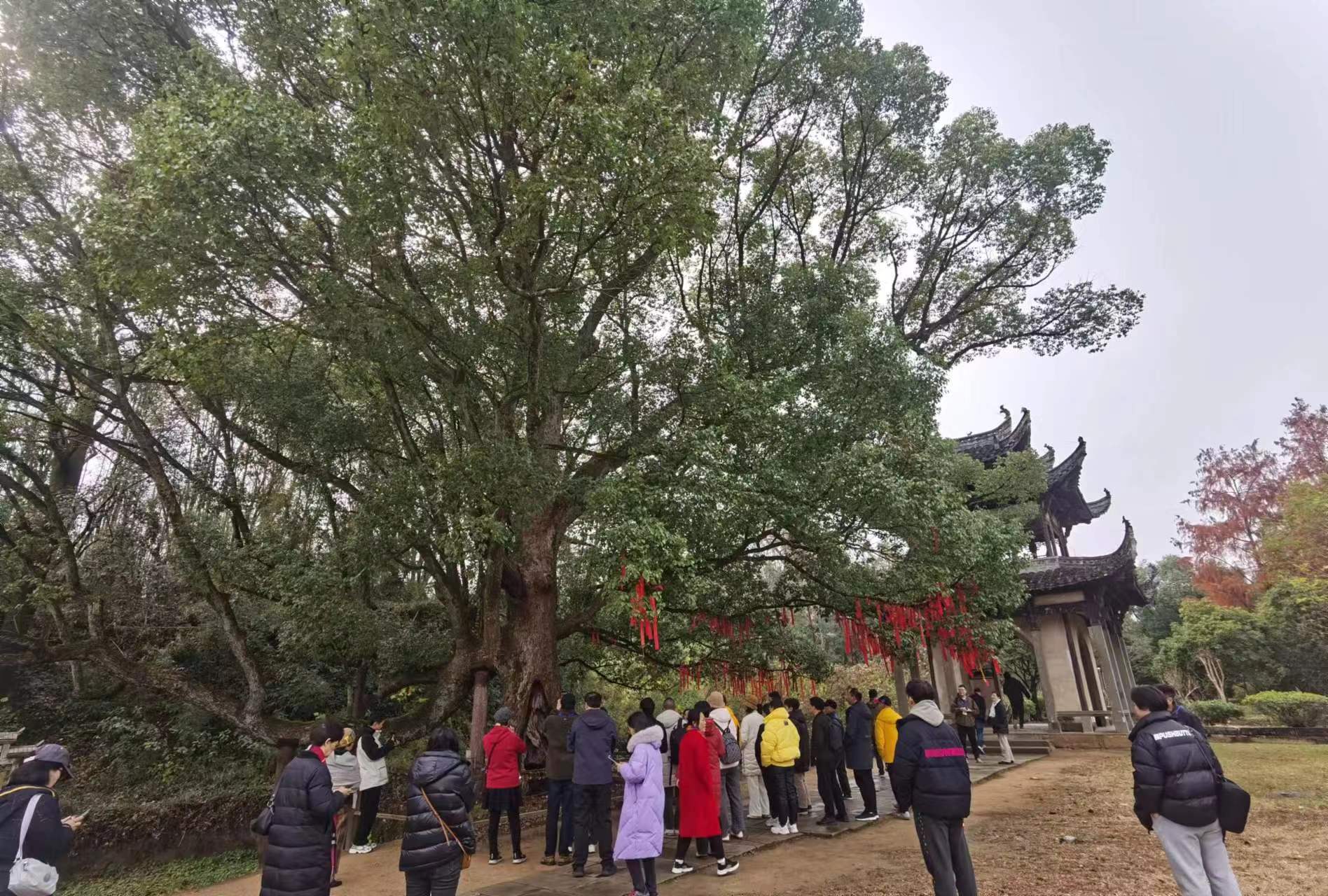 Z6��������ʱ���й������ٷ���վ