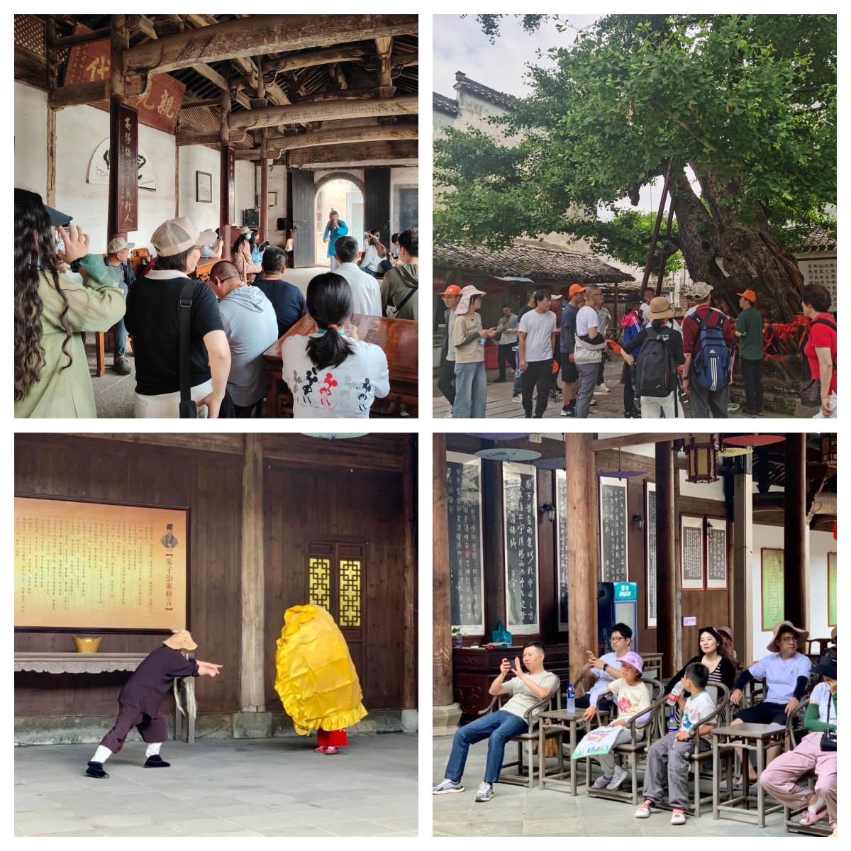 Z6��������ʱ���й������ٷ���վ