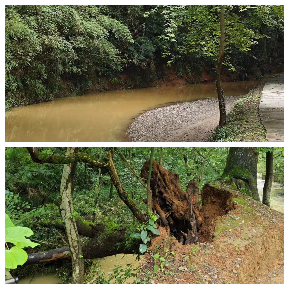 Z6��������ʱ���й������ٷ���վ