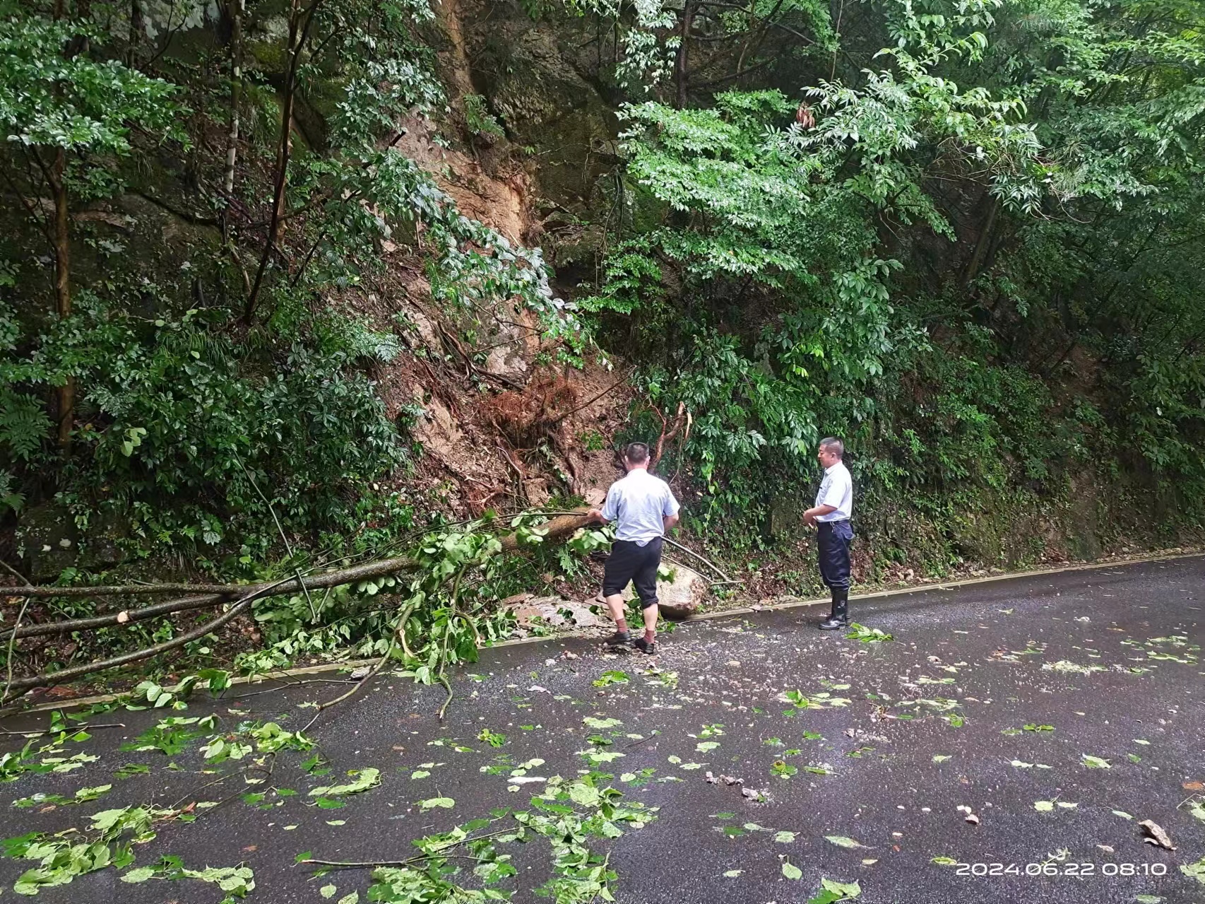 Z6��������ʱ���й������ٷ���վ