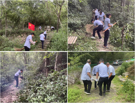 Z6��������ʱ���й������ٷ���վ