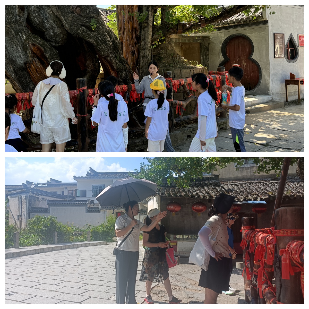 Z6¡¤×ðÁú¿Ê±¡¸ÖйúÇø¡¹¹Ù·½ÍøÕ¾