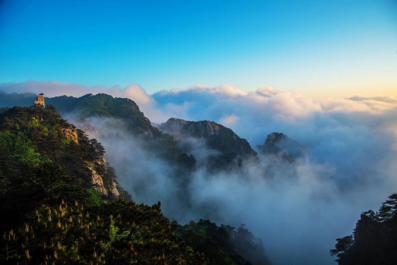 Z6��������ʱ���й������ٷ���վ