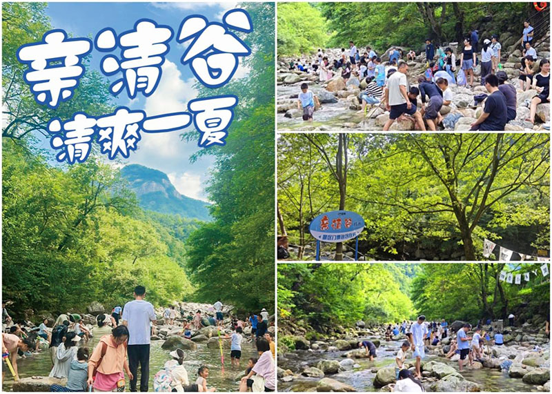 Z6��������ʱ���й������ٷ���վ