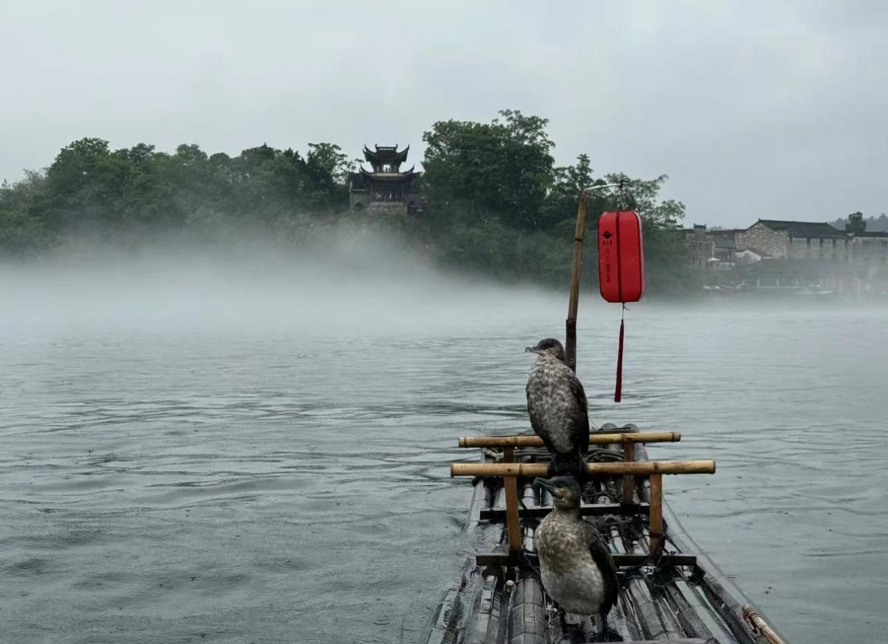 Z6��������ʱ���й������ٷ���վ