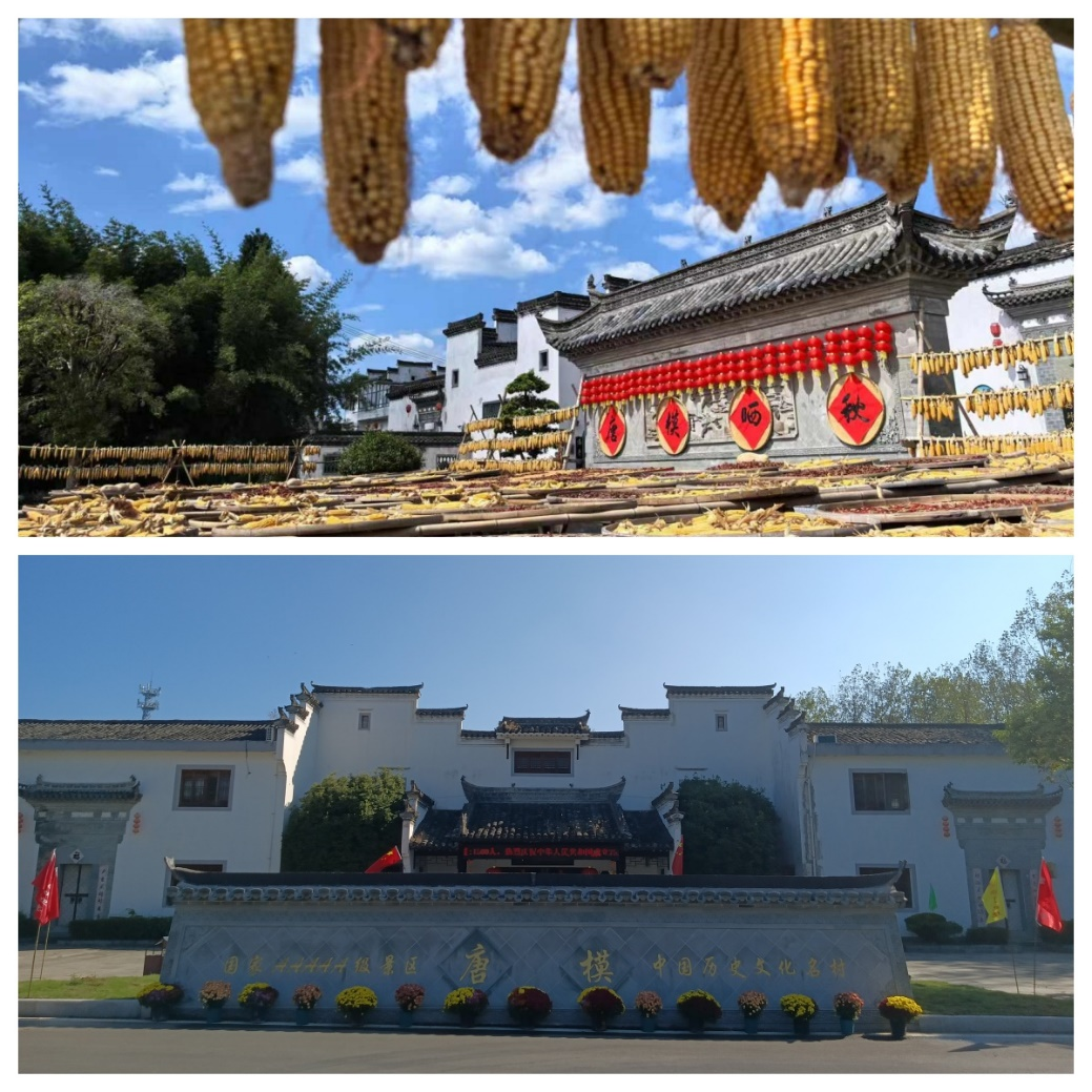 Z6¡¤×ðÁú¿Ê±¡¸ÖйúÇø¡¹¹Ù·½ÍøÕ¾