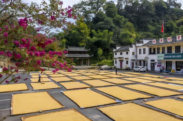 Z6��������ʱ���й������ٷ���վ