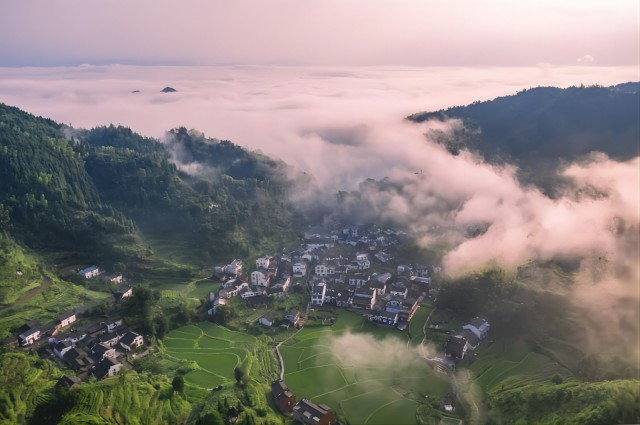 Z6��������ʱ���й������ٷ���վ