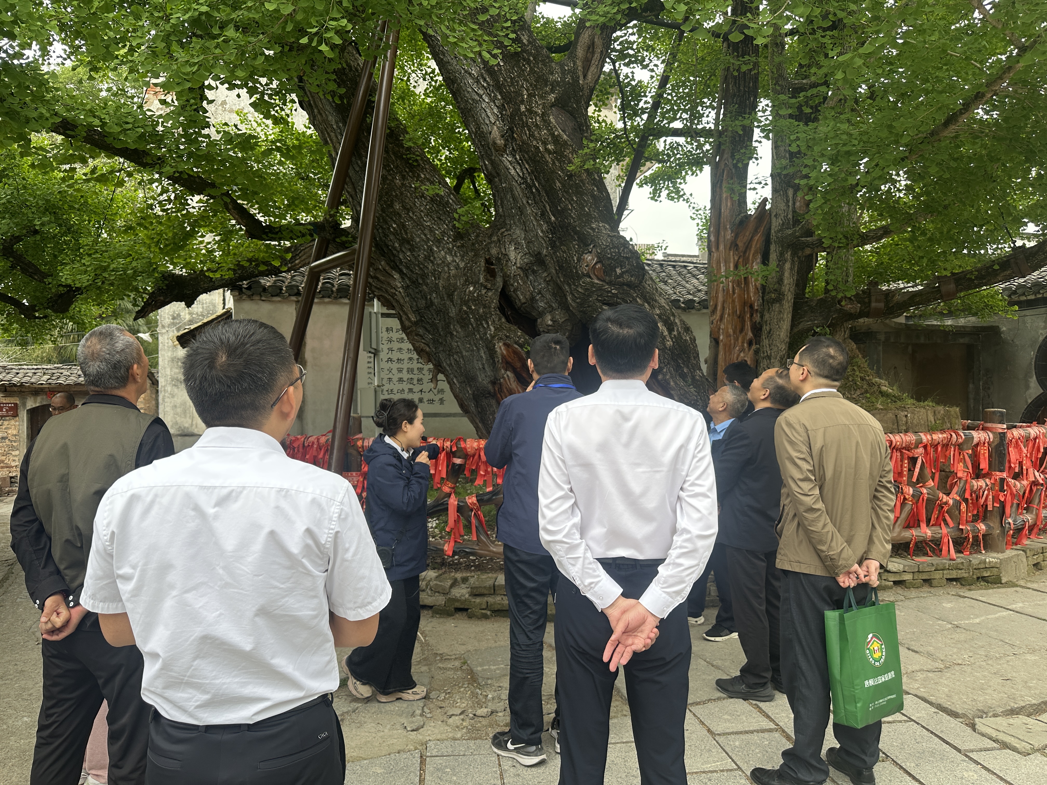 Z6��������ʱ���й������ٷ���վ