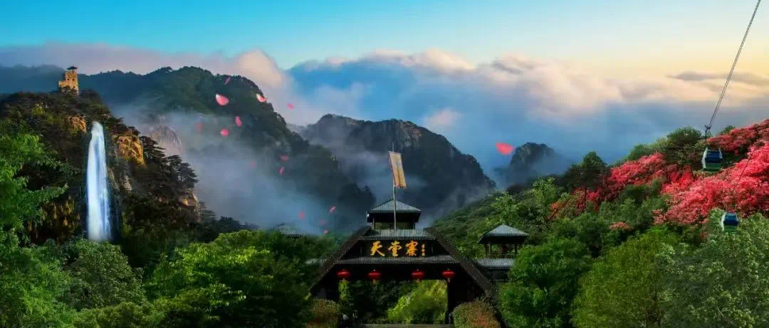 Z6��������ʱ���й������ٷ���վ